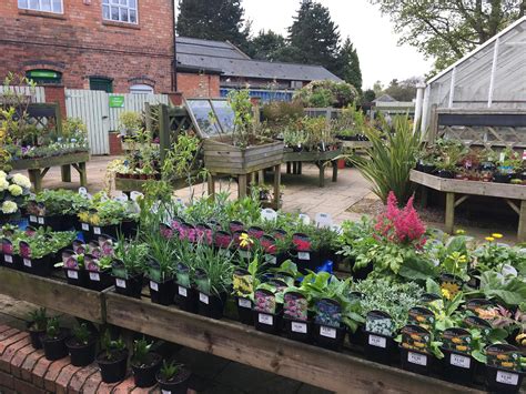Plant sales near me - Welcome to Norfolk Quality Plants! Creating Beautiful Gardens through Beautiful Plants. Our plants are grown by, cared for and despatched by our small team. Cut out the middle man and buy direct from the grower. We are a small family run business that have been growing plants with care and attention for two generations.